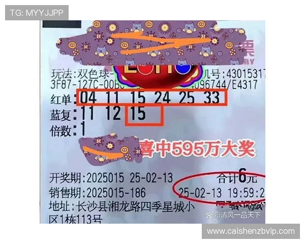 最新权威彩票开奖结果查询平台实时开奖信息全掌握
