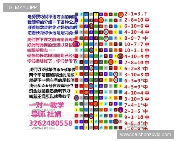 官方飞艇操控全攻略：技巧详解与实战经验分享