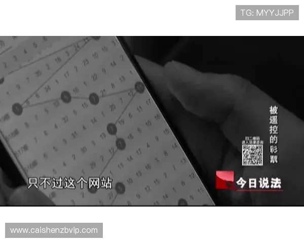 最新彩票开奖号码实时查询技巧分享助你快速掌握中奖动态与数据趋势