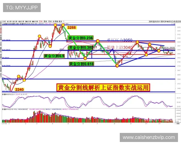 深度解析十一选五走势图规律与数据变化趋势实战技巧分享 深度解析十一选五走势图规律与数据变化趋势实战技巧分享